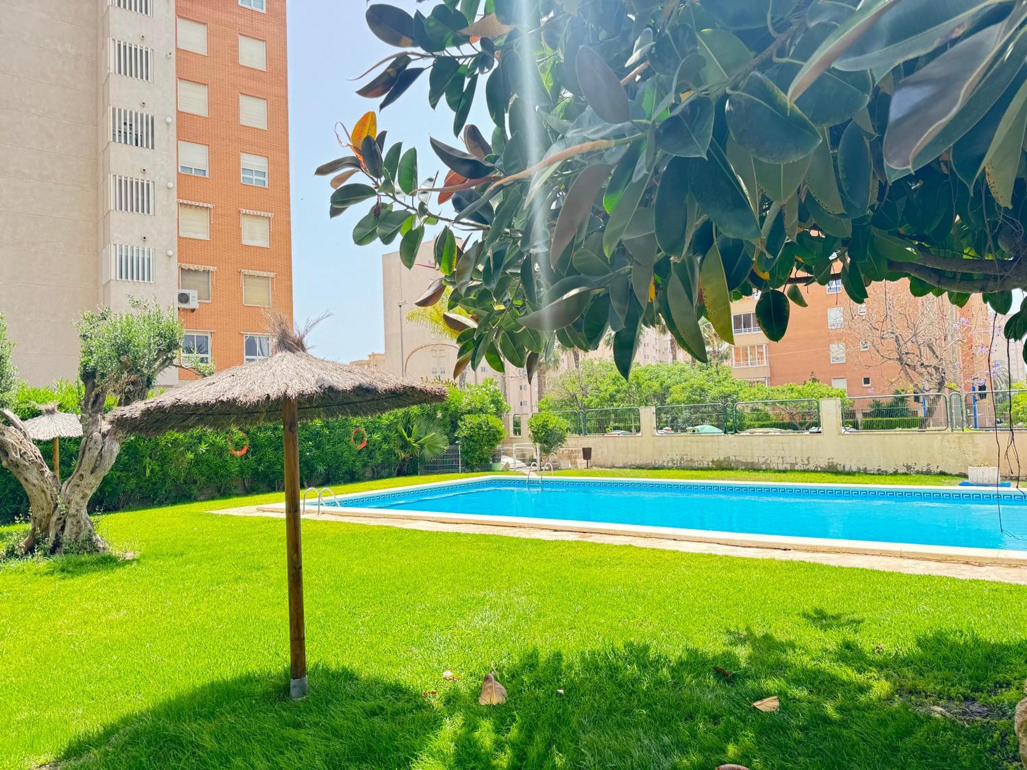 Estudio Con Piscina Alicante Bagian luar foto