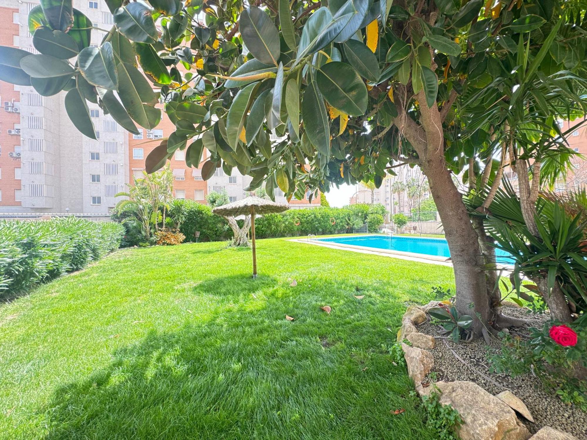 Estudio Con Piscina Alicante Bagian luar foto